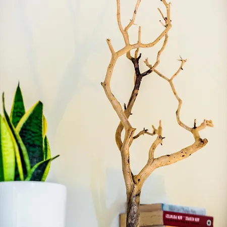 Aurum Syros Apartmán Ermupoli