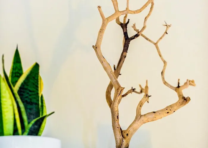 Aurum Syros Apartamento Ermoupoli